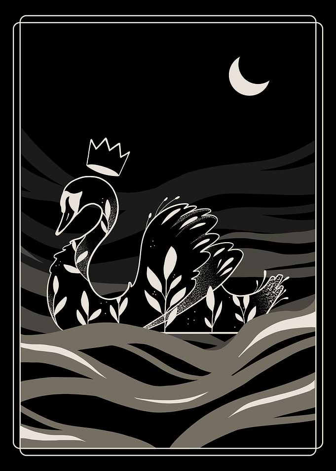 The Silence Of The Swan