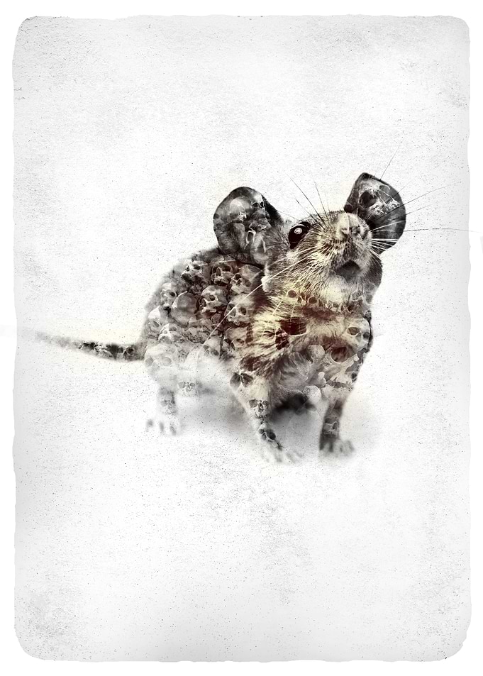 MOUSE
