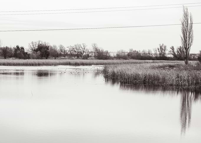 loneliness at the lake