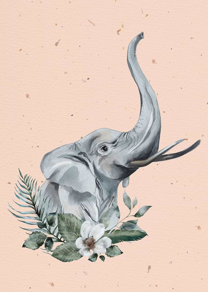 Tropical Elephant