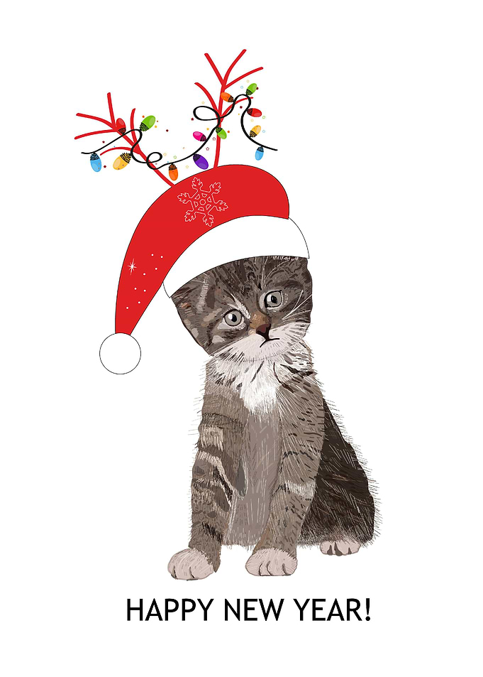 Cat with deer hat
