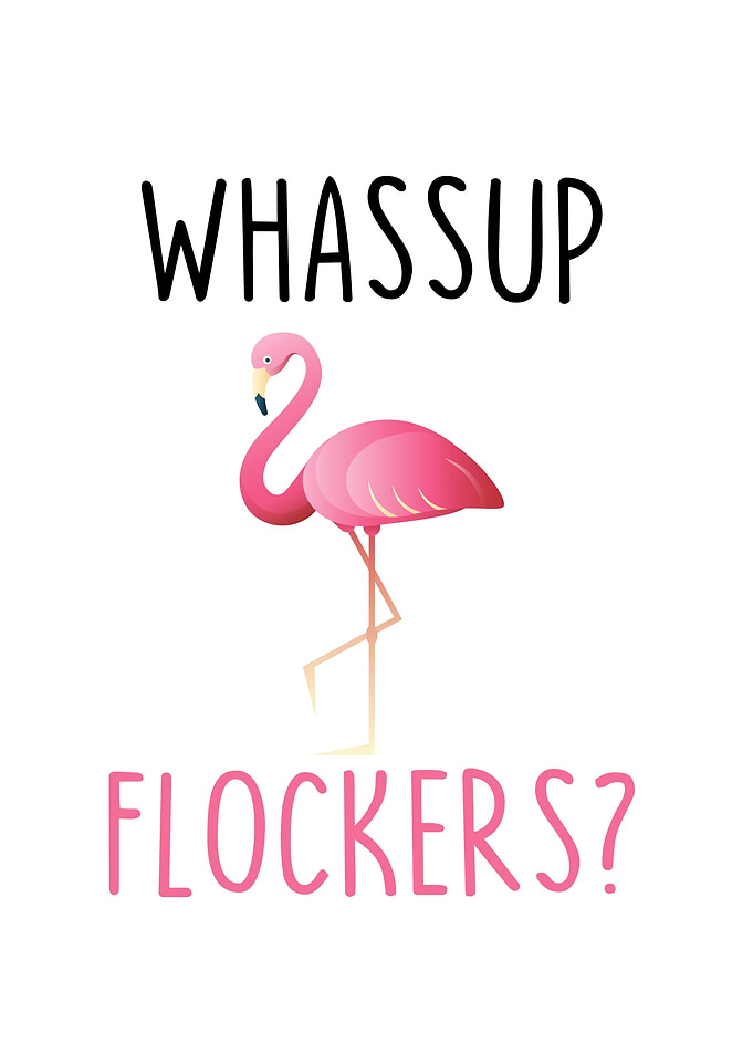 Whassup Flockers