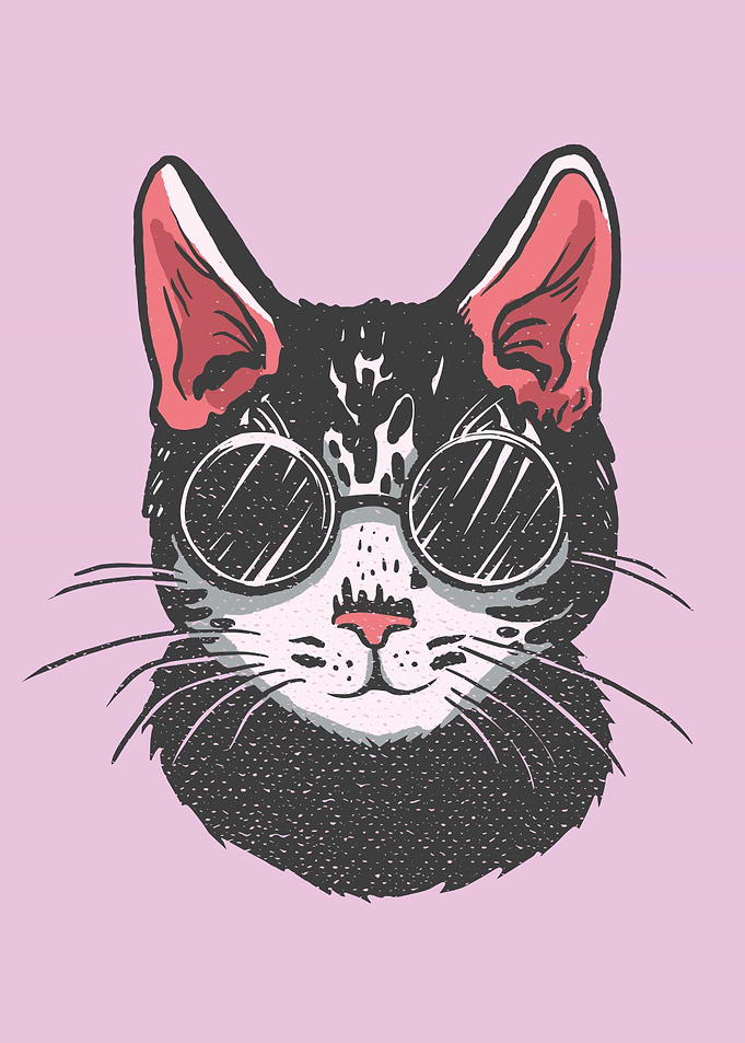 Vintage black cat