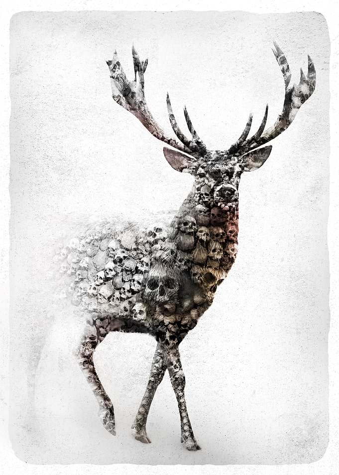 STAG