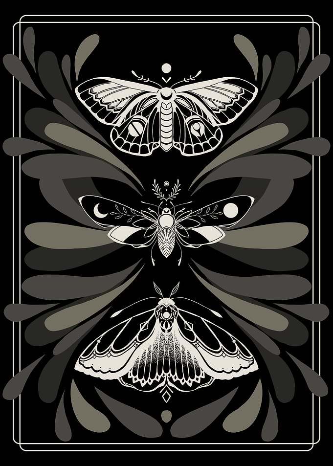 Insomniac Butterflies