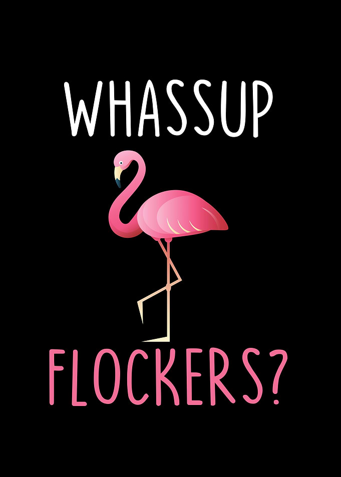 Whassup Flockers