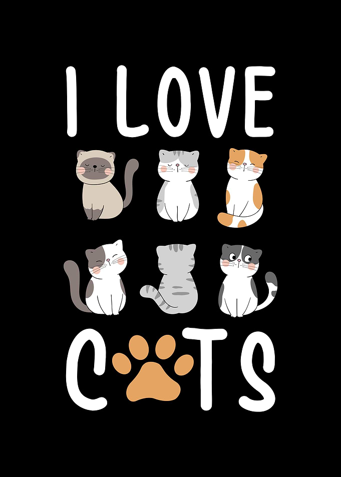 I love Cats funny Cat