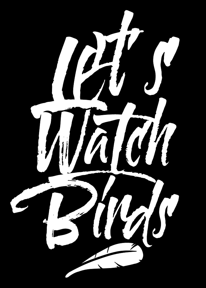 Lets watch birds