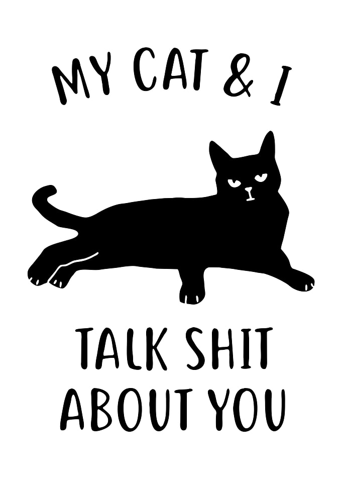 Black Cat