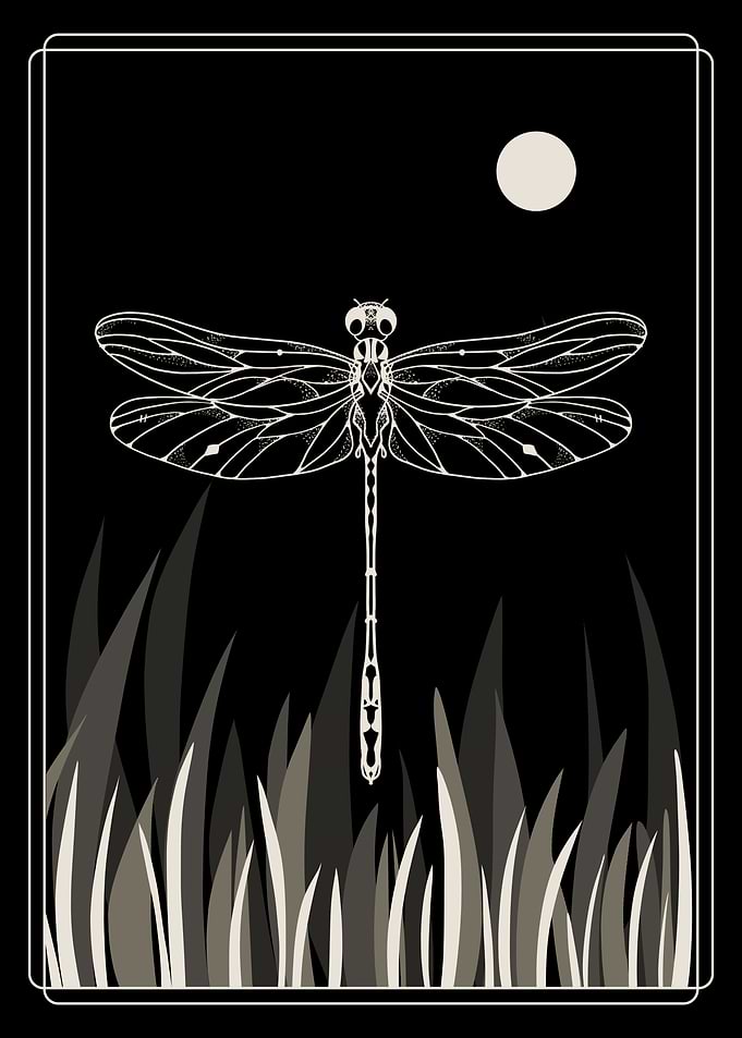 Night Flight
