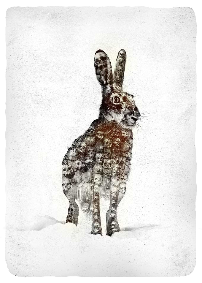 HARE