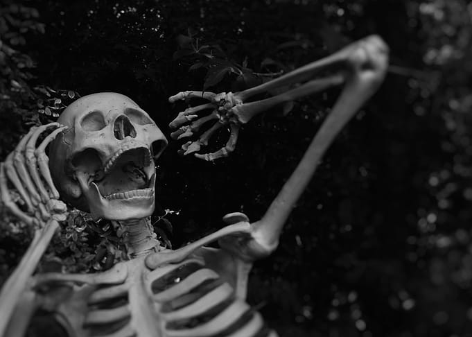 Halloween Skeleton
