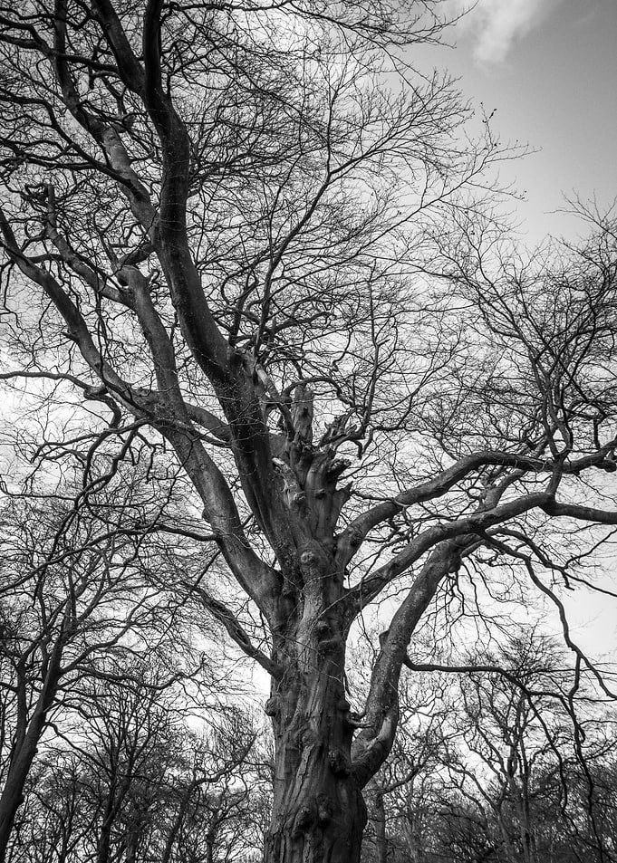 Reaching High