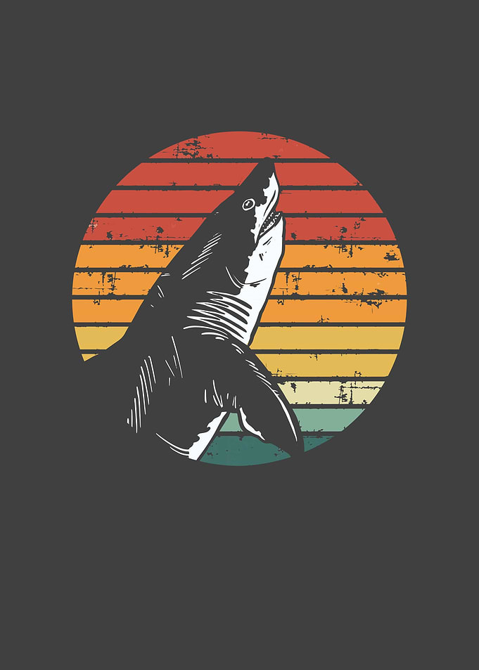 Shark in retro vintage