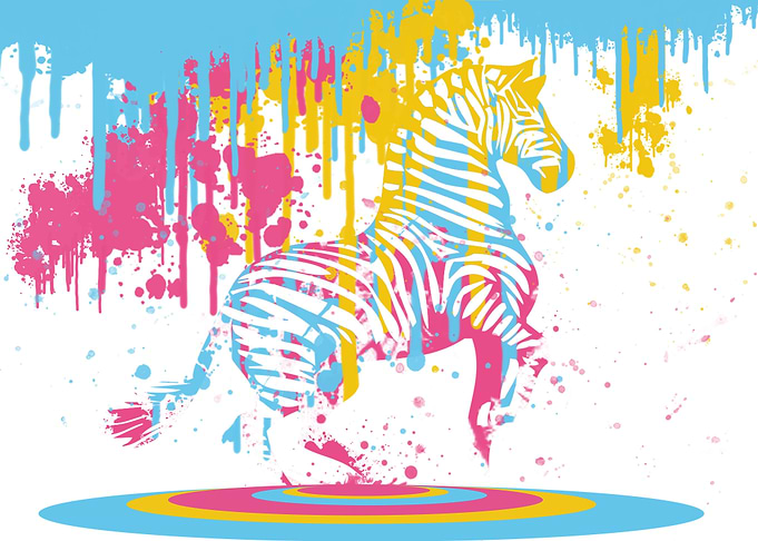 Zebra