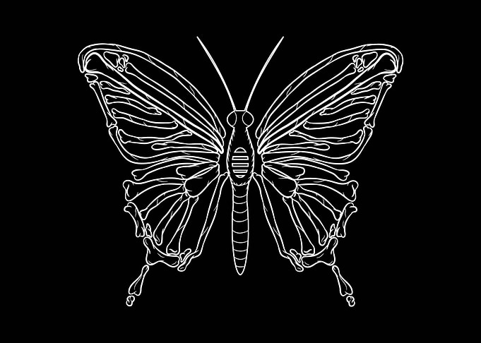 Dark Academia Butterfly