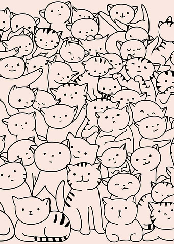 Wall Of Cats Judging You