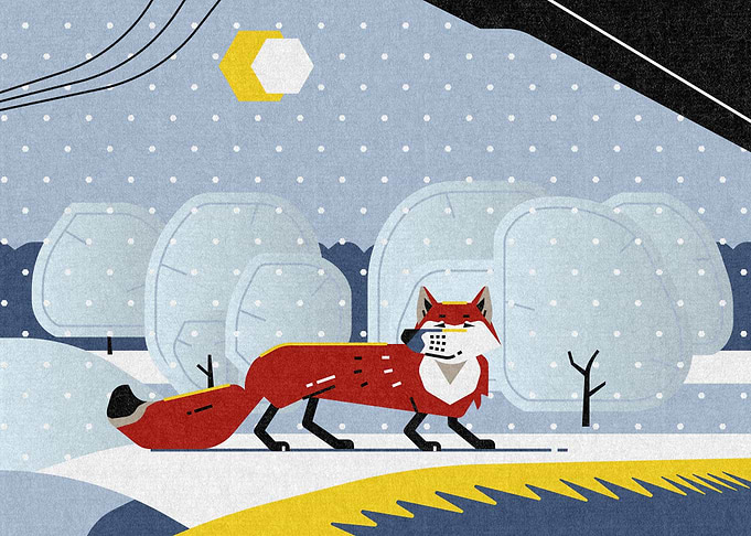Fox in winter
