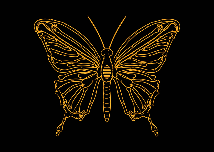 Dark Academia Butterfly