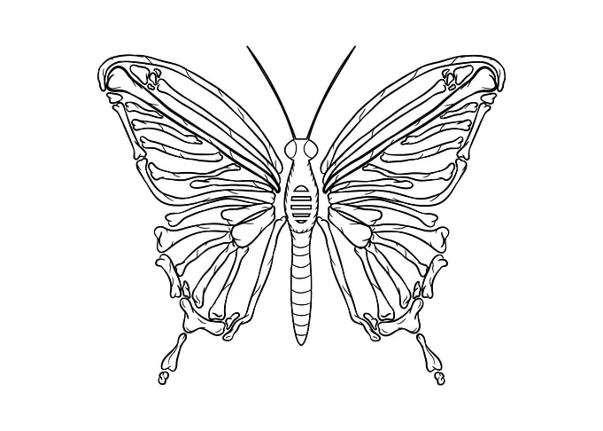 Dark Academia Butterfly