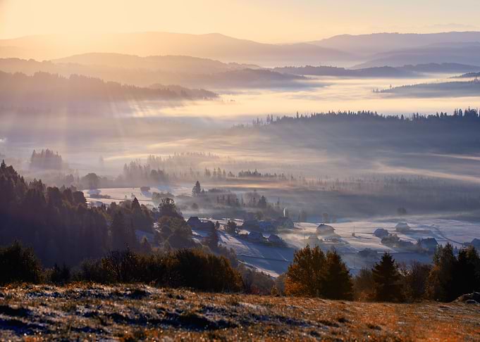 Autumn foggy landscape
