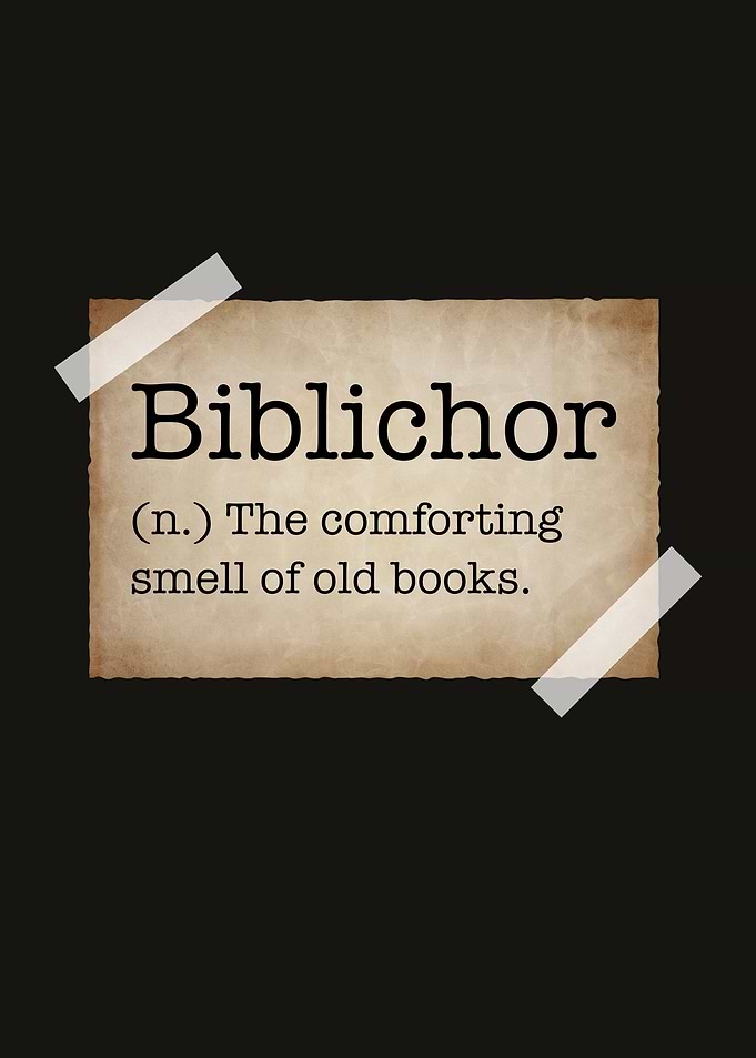 Dark Academia Biblichor