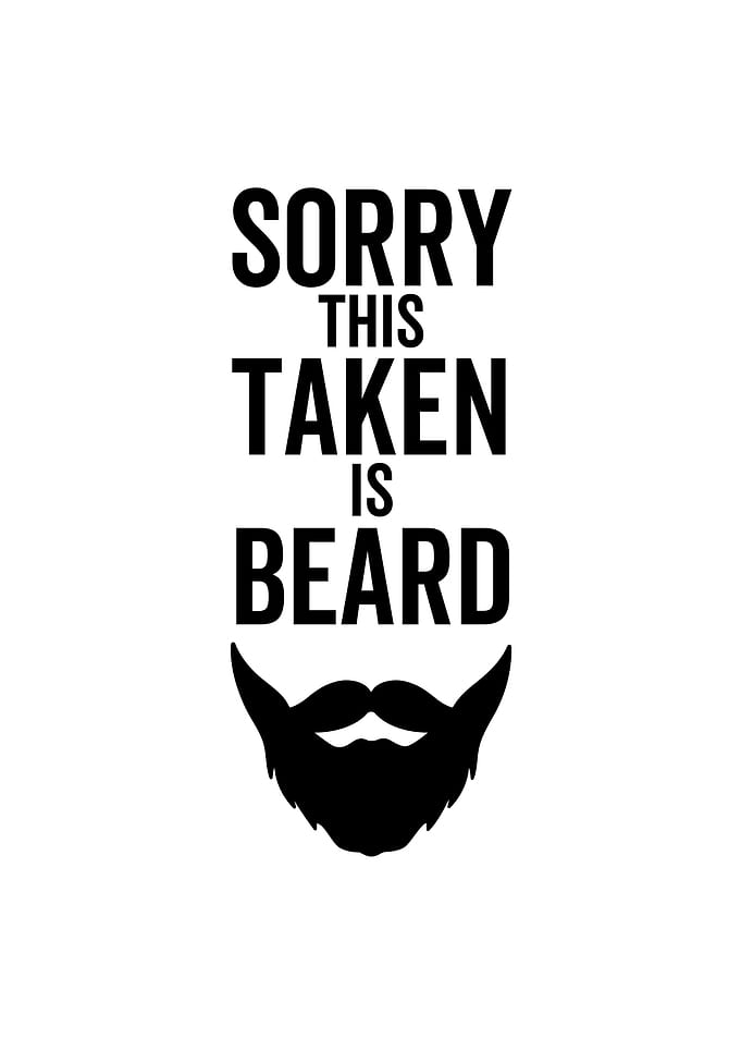 Sorry This Beard is Taken
