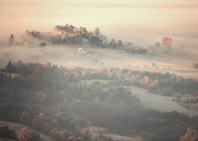 Autumn foggy landscape