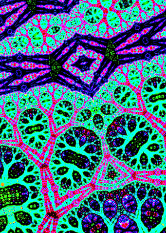 Trippy Groovy Fractal