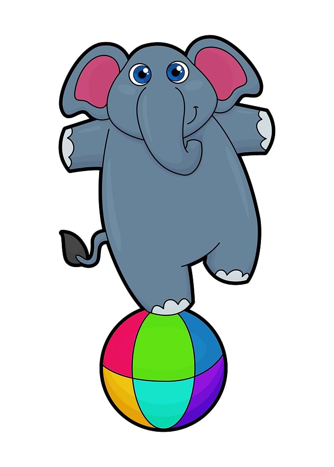 Elephant Circus Ball