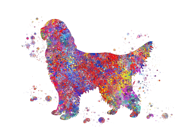 Gordon Setter