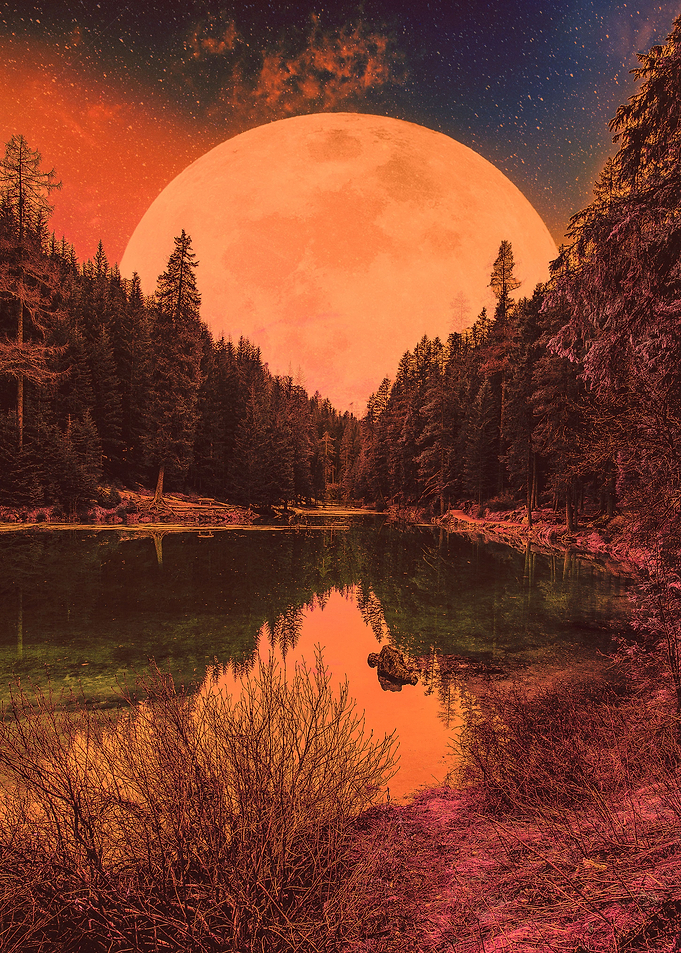 Vintage landscape