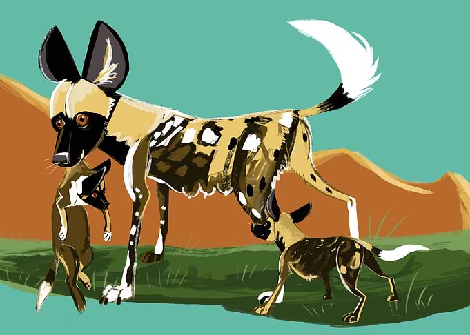 Lycaon Painted Wolf Mom