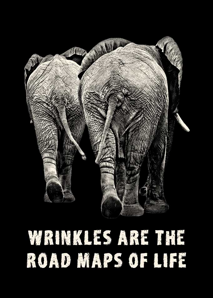 Elephants Wrinkles Quote