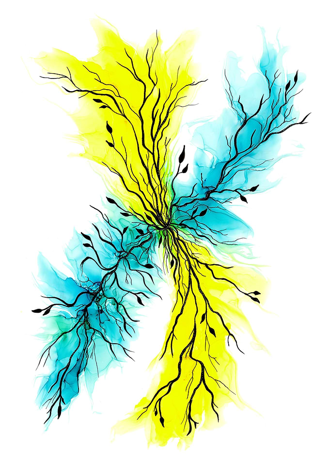 Power of the Forest