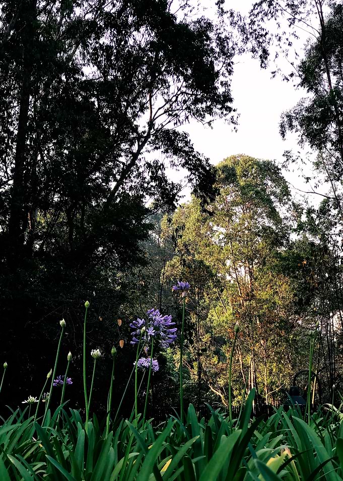 Green Garden