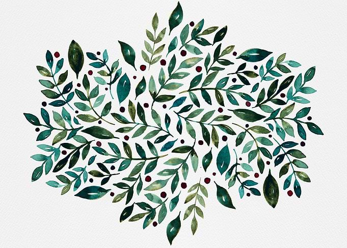 Seasonal Branches