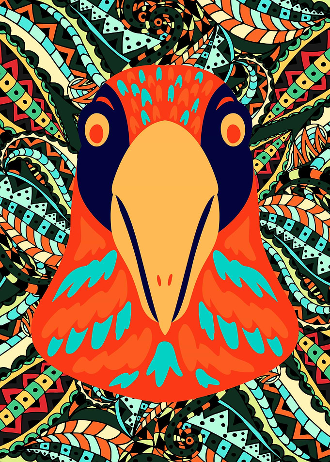 Vibrant Colorful Bird