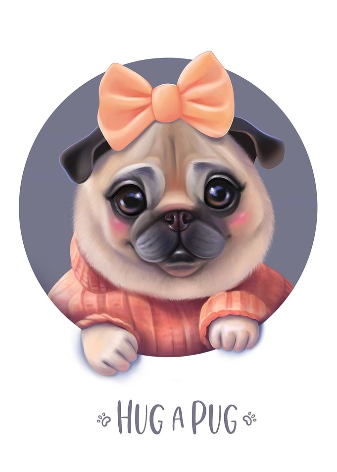 Pug puppy