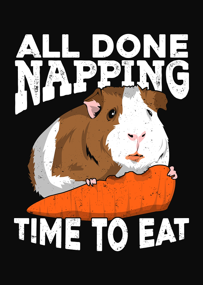 Guinea Pig Cavy Design