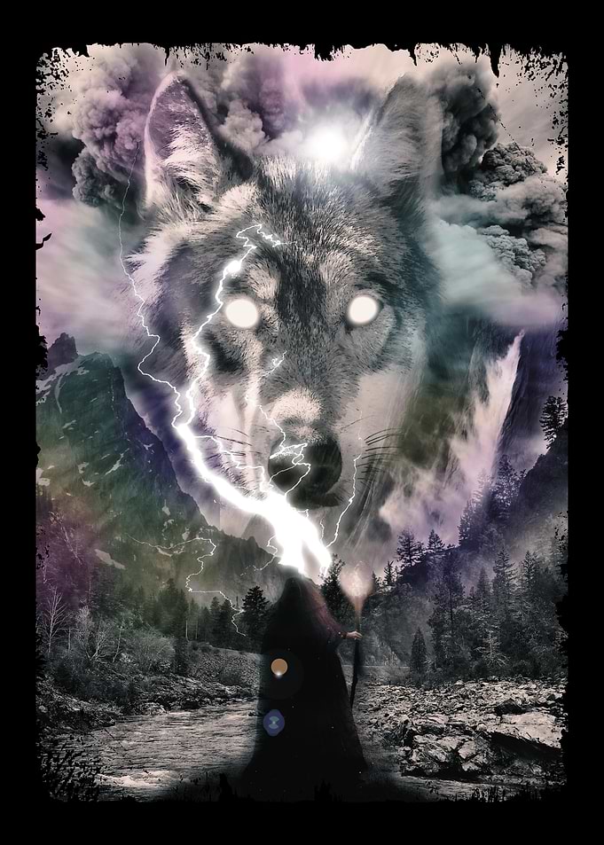 Wolf Wizard Forest Winter