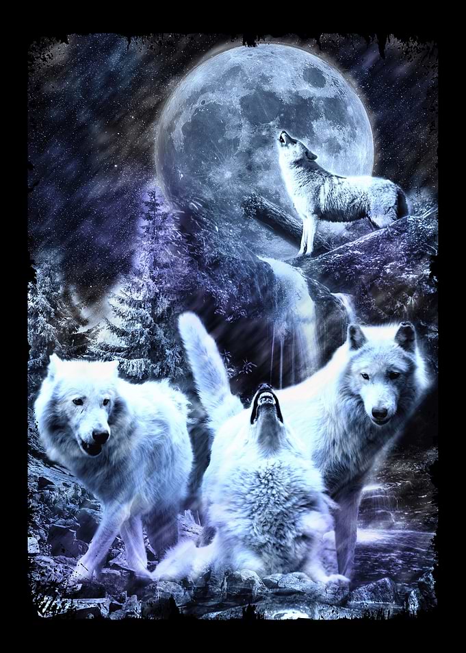 Howling Wolves Winter Wolf