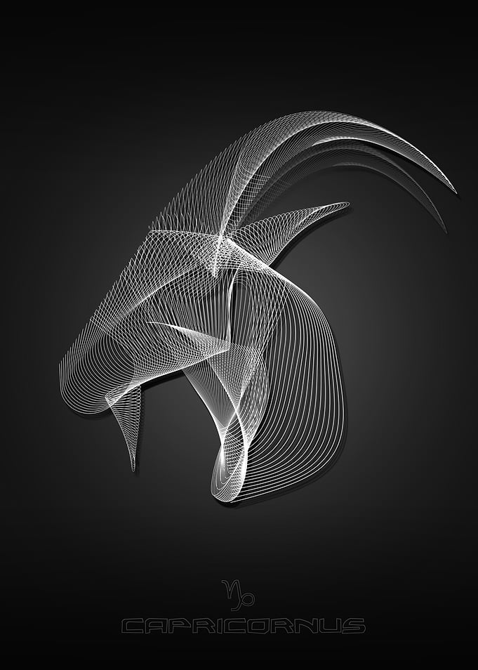 zodiac sign capricornus