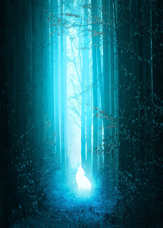 Nocturnal