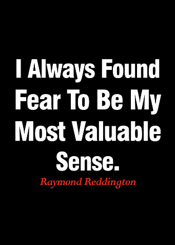 raymond reddington quotes