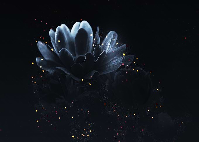 Abstract flower