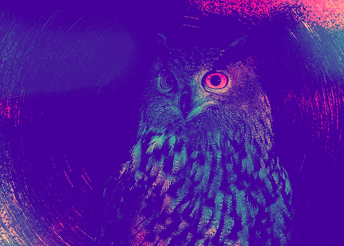European Eagle Owl