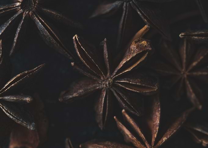 Anise