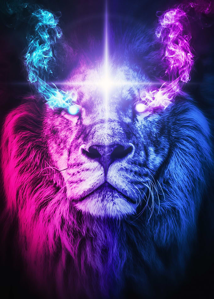 spiritual animals