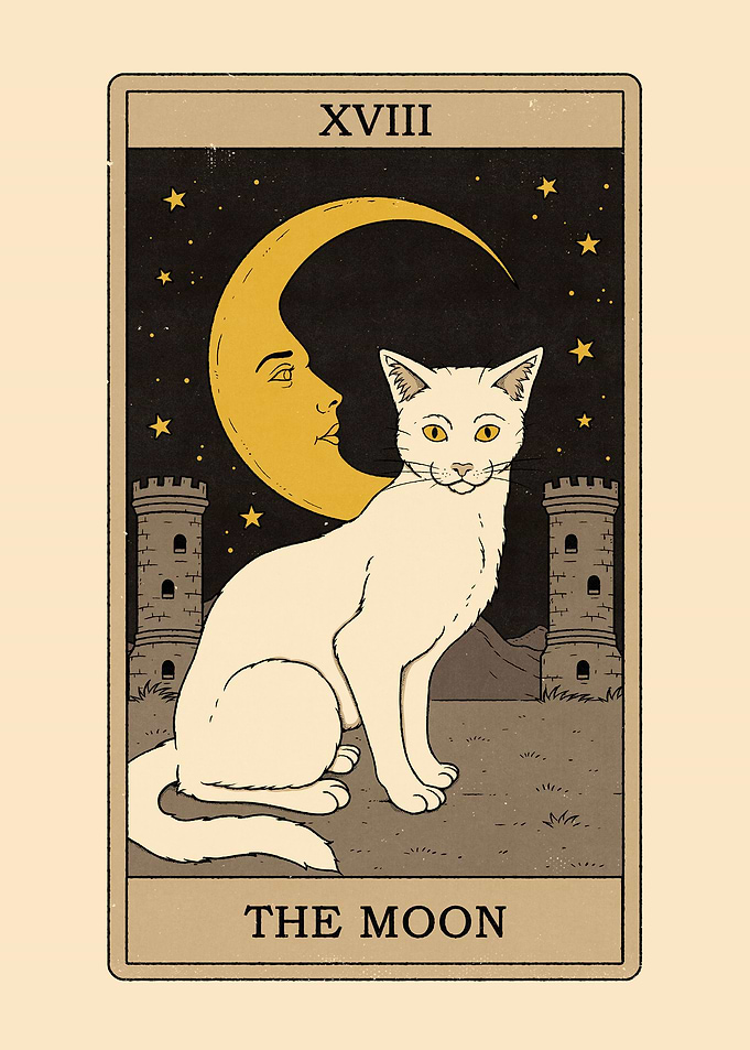 The Moon